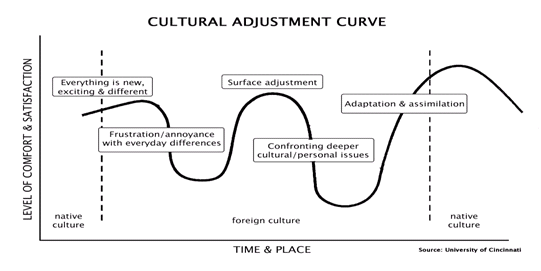 CultureCurve1